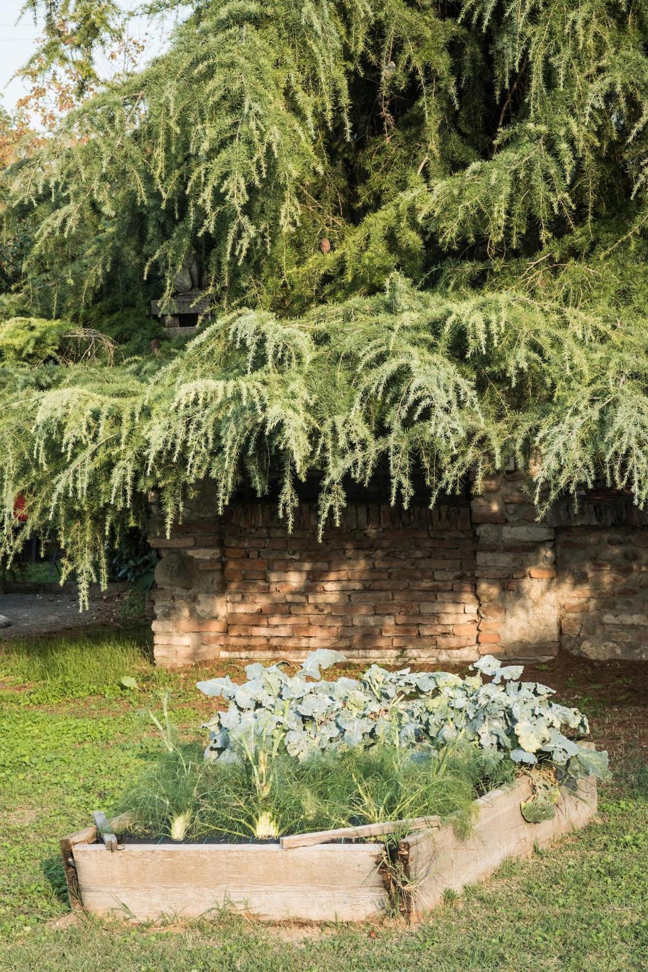 Agriturismo Beatilla Marmirolo Buitenkant foto